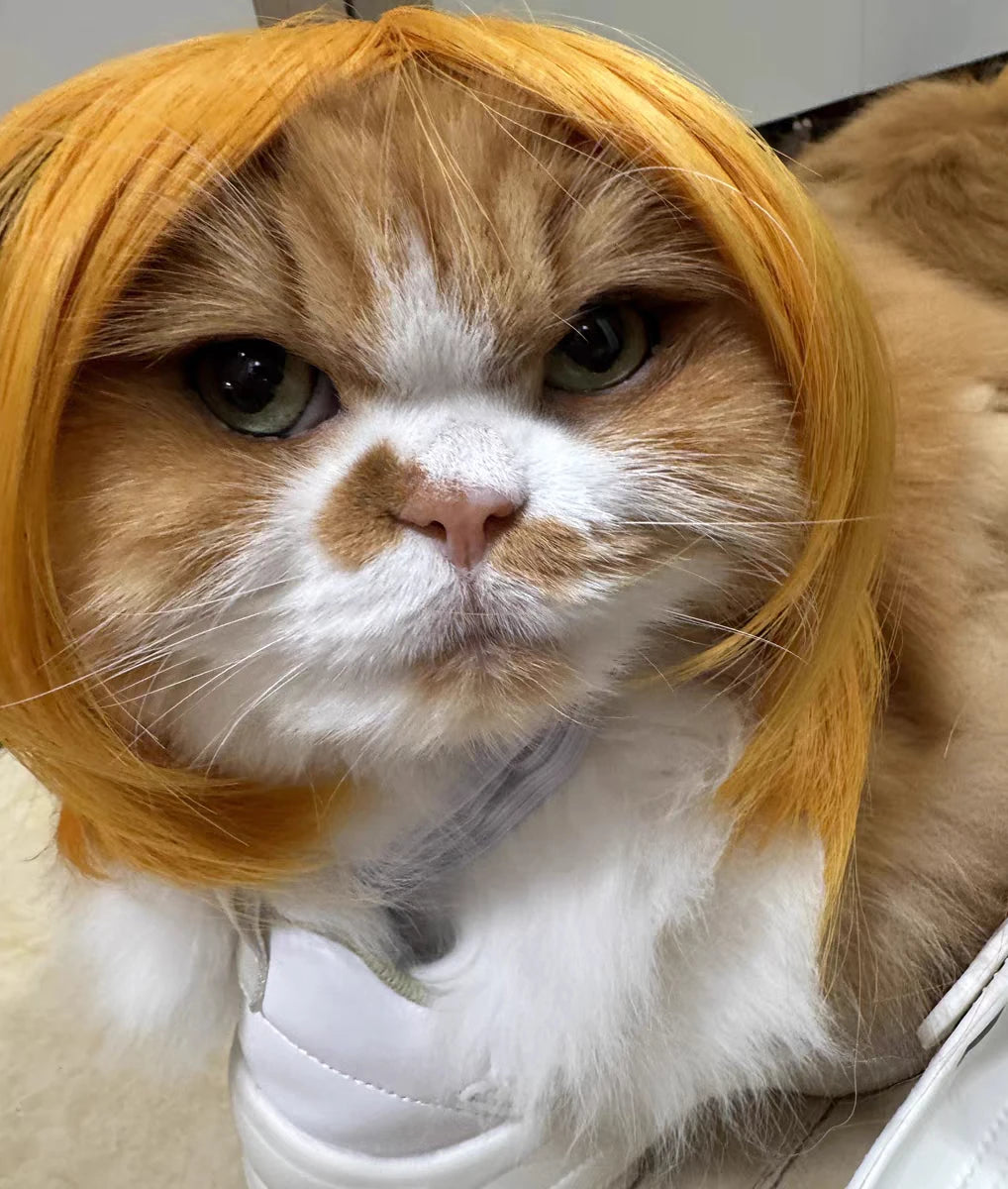 Pet Wig for Dogs & Cats | Curly Straight Hair Options | DIY Trim Halloween Costume Accessories - Smooth Wigs