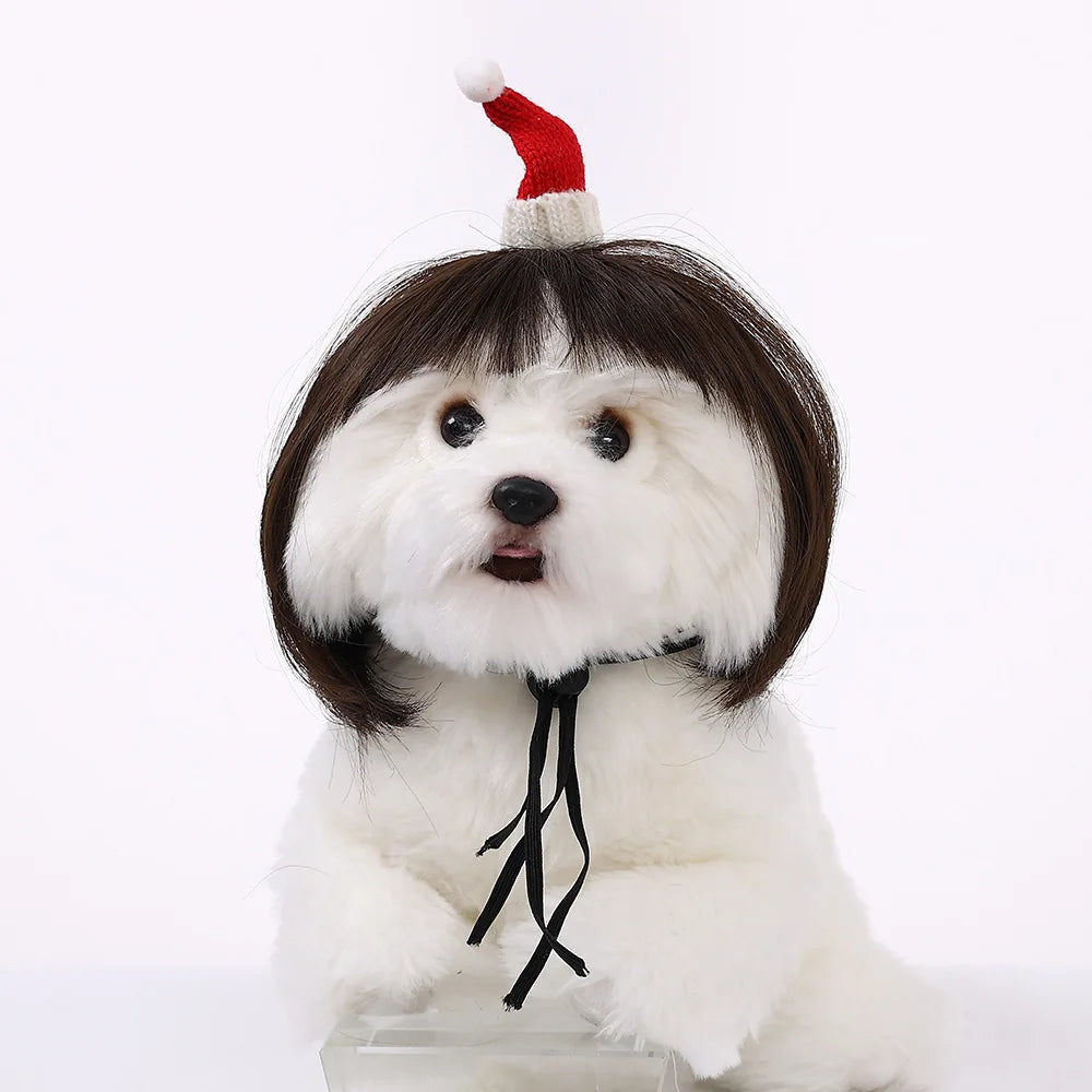 Pet Wig for Dogs & Cats | Curly Straight Hair Options | DIY Trim Halloween Costume Accessories - Smooth Wigs
