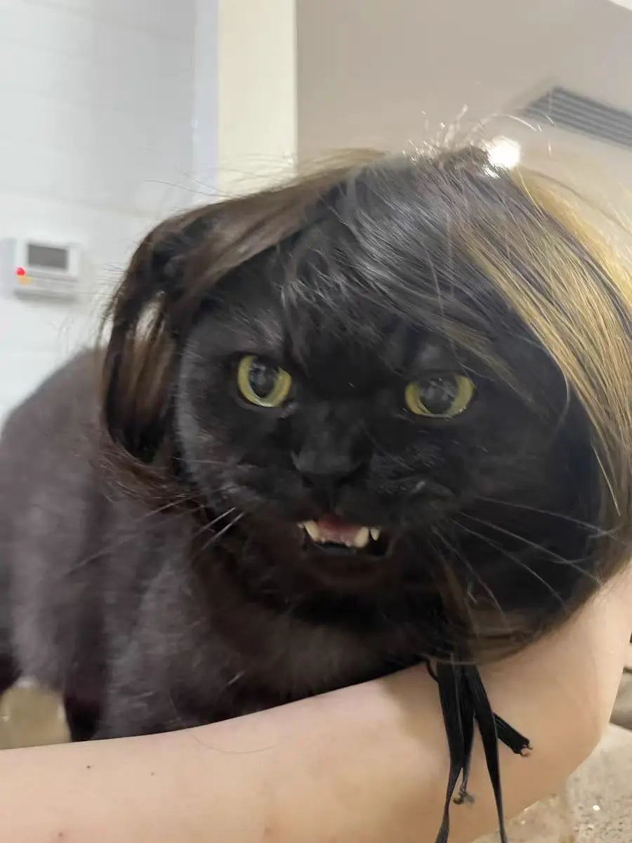 Pet Wig for Dogs & Cats | Curly Straight Hair Options | DIY Trim Halloween Costume Accessories - Smooth Wigs