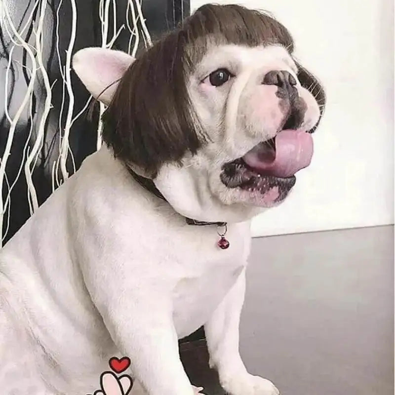 Funny Pet Wigs for Cosplay | Dog &Cat Cross-Dressing Hats | Perfect for Halloween &amp; Christmas - Smooth Wigs
