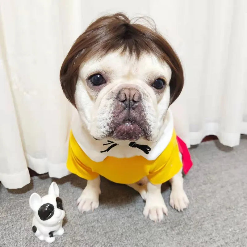 Funny Pet Wigs for Cosplay | Dog &Cat Cross-Dressing Hats | Perfect for Halloween &amp; Christmas - Smooth Wigs