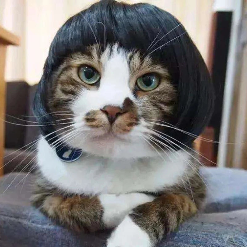 Funny Pet Wigs for Cosplay | Dog &Cat Cross-Dressing Hats | Perfect for Halloween &amp; Christmas - Smooth Wigs