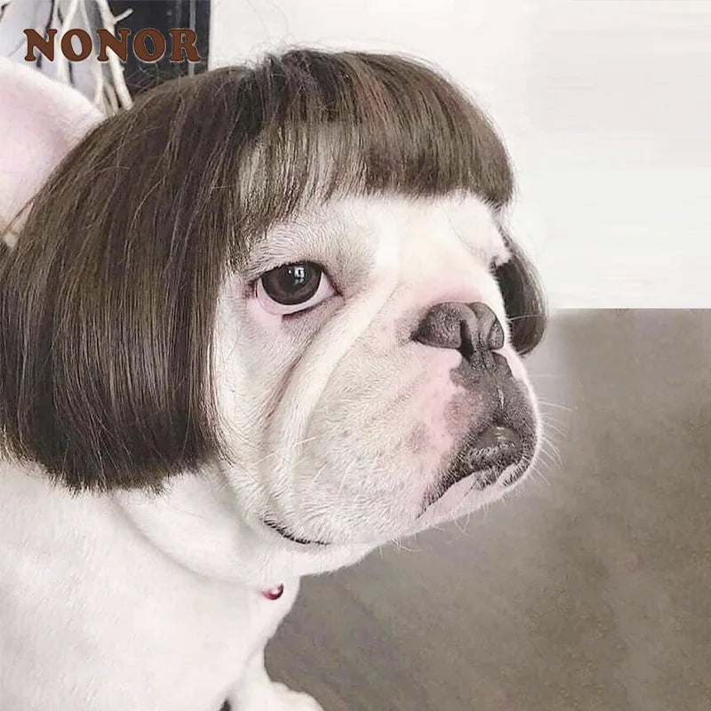 Funny Pet Wigs for Cosplay | Dog &Cat Cross-Dressing Hats | Perfect for Halloween &amp; Christmas - Smooth Wigs