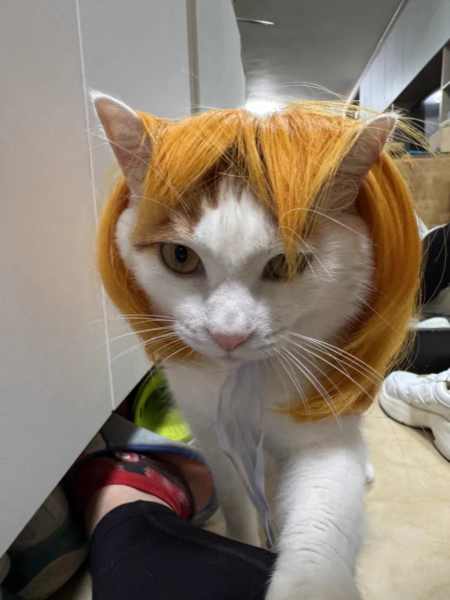 Pet Wig for Dogs & Cats | Curly Straight Hair Options | DIY Trim Halloween Costume Accessories - Smooth Wigs