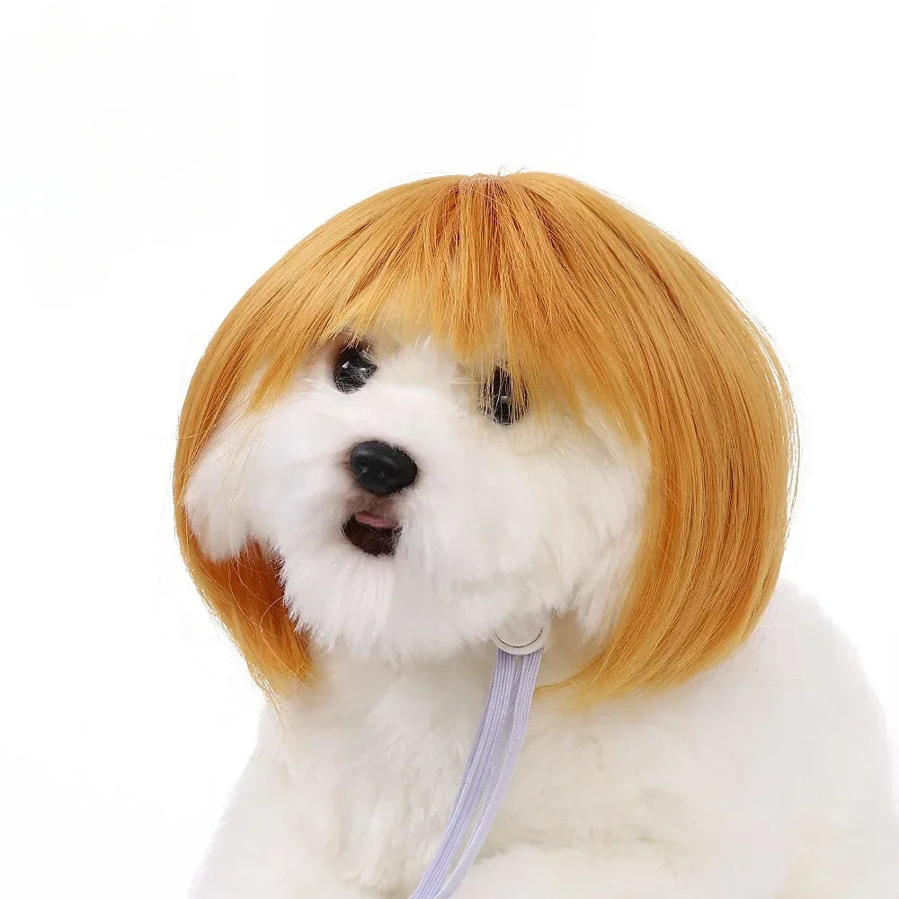 Pet Wig for Dogs & Cats | Curly Straight Hair Options | DIY Trim Halloween Costume Accessories - Smooth Wigs