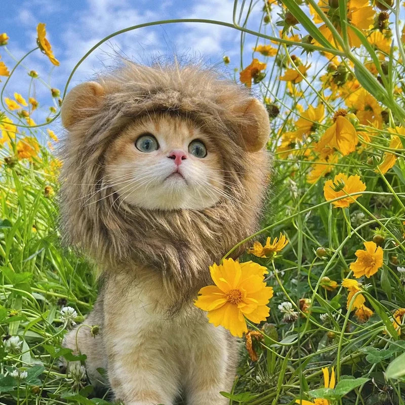 Funny Lion Mane Costume for Cats &amp; Dogs | Cute Pet Wig with Ears | Perfect for Parties &amp; Cosplay - Smooth Wigs