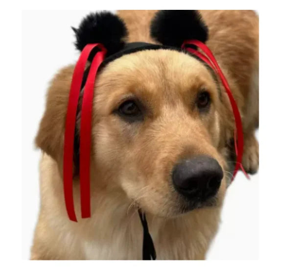 Funny Pet Wigs for Cosplay | Dog &Cat Cross-Dressing Hats | Perfect for Halloween &amp; Christmas - Smooth Wigs