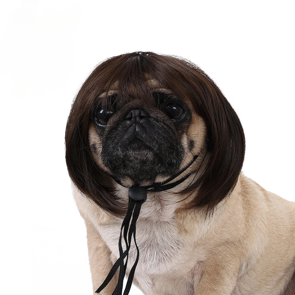 Pet Wig for Dogs & Cats | Curly Straight Hair Options | DIY Trim Halloween Costume Accessories - Smooth Wigs