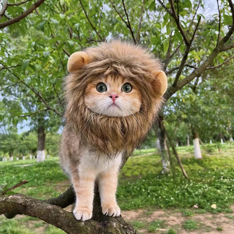 Funny Lion Mane Costume for Cats &amp; Dogs | Cute Pet Wig with Ears | Perfect for Parties &amp; Cosplay - Smooth Wigs
