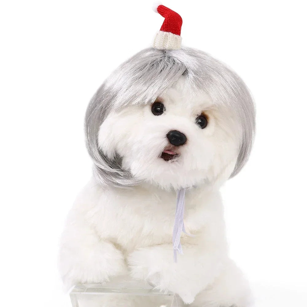 Pet Wig for Dogs & Cats | Curly Straight Hair Options | DIY Trim Halloween Costume Accessories - Smooth Wigs
