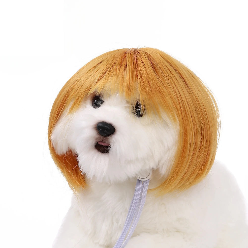 Pet Wig for Dogs & Cats | Curly Straight Hair Options | DIY Trim Halloween Costume Accessories - Smooth Wigs