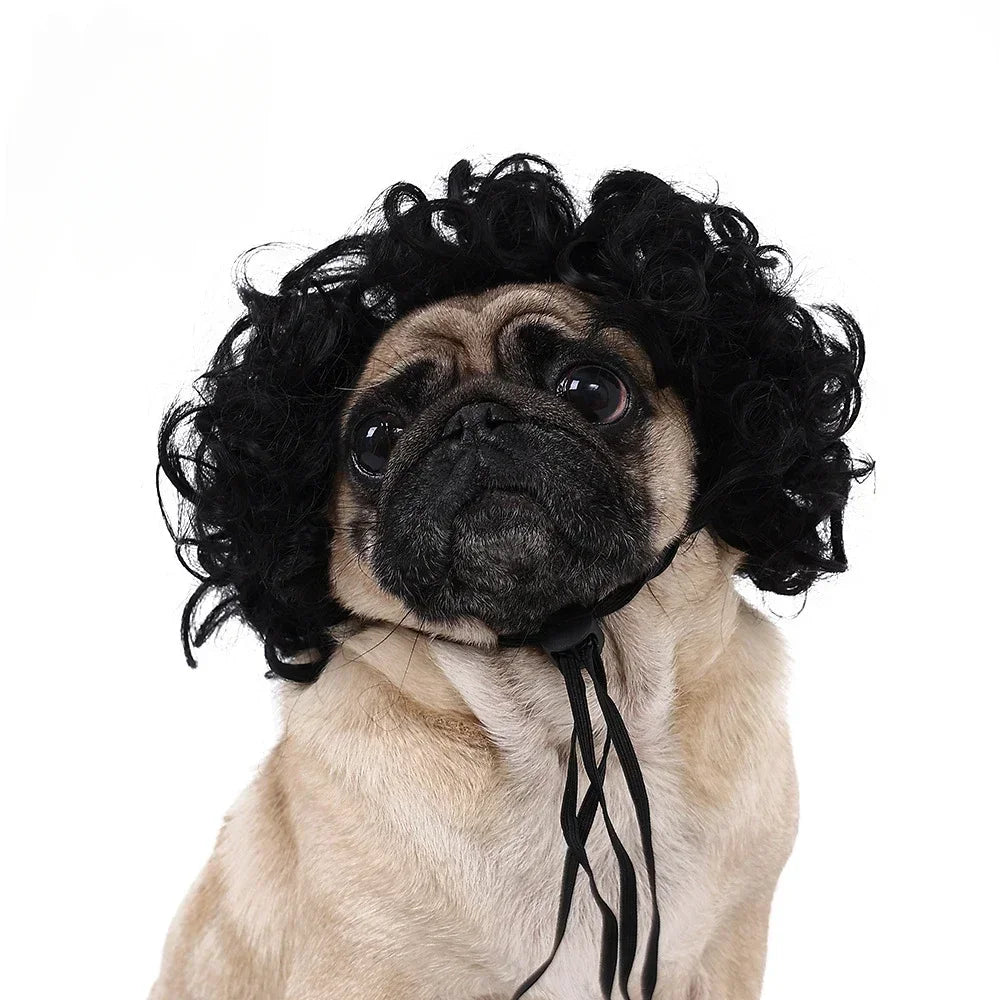 Pet Wig for Dogs & Cats | Curly Straight Hair Options | DIY Trim Halloween Costume Accessories - Smooth Wigs