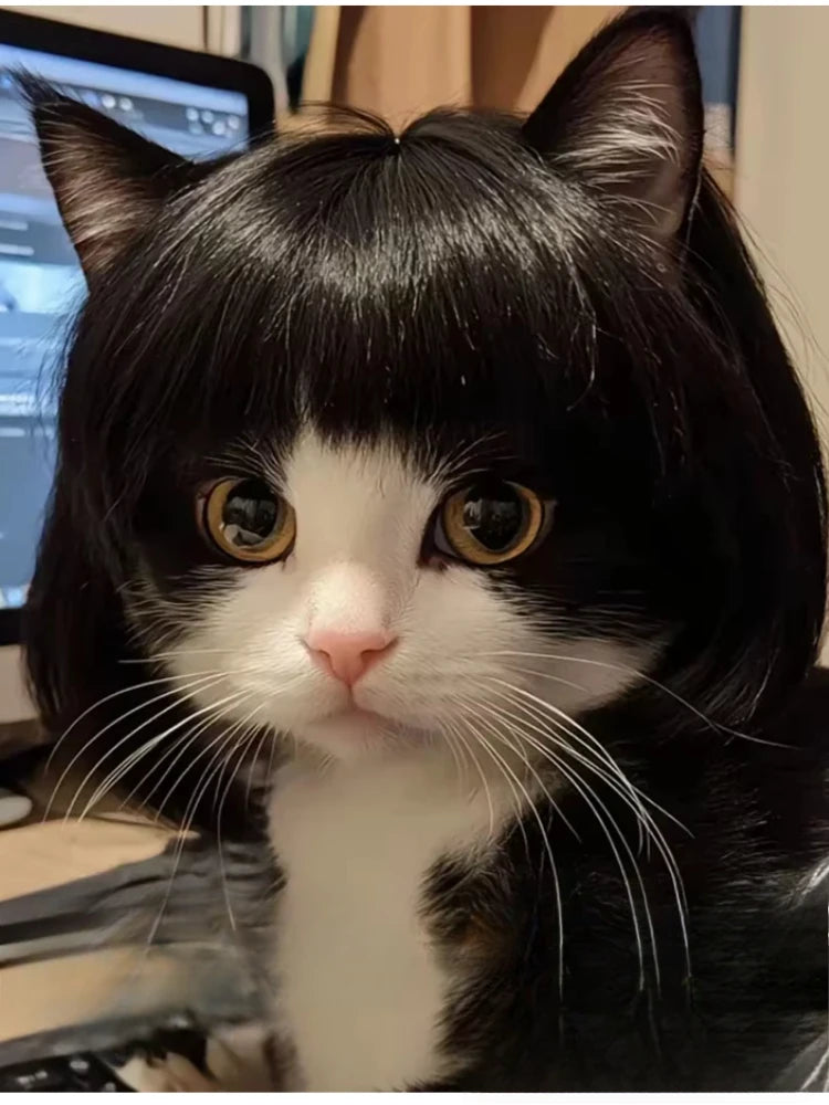 Pet Wig for Dogs & Cats | Curly Straight Hair Options | DIY Trim Halloween Costume Accessories - Smooth Wigs