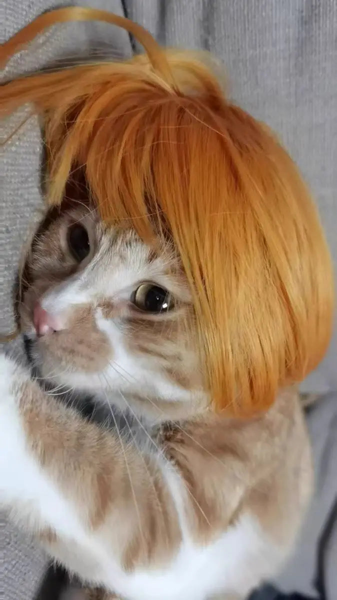 Pet Wig for Dogs & Cats | Curly Straight Hair Options | DIY Trim Halloween Costume Accessories - Smooth Wigs