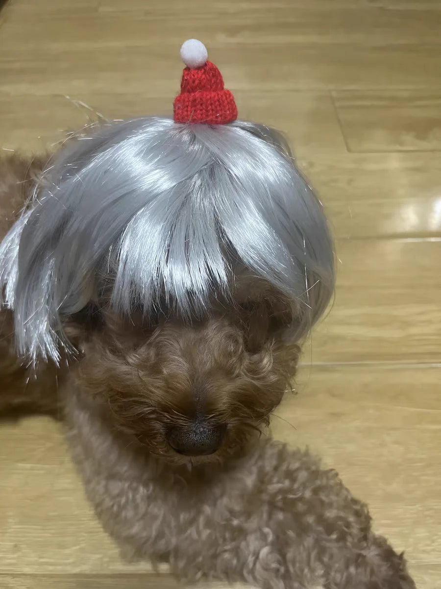 Pet Wig for Dogs & Cats | Curly Straight Hair Options | DIY Trim Halloween Costume Accessories - Smooth Wigs