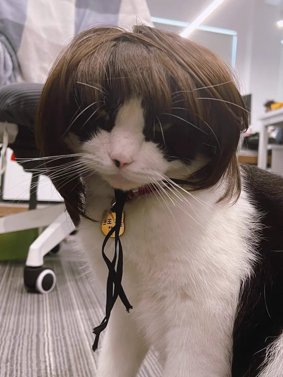 Pet Wig for Dogs & Cats | Curly Straight Hair Options | DIY Trim Halloween Costume Accessories - Smooth Wigs