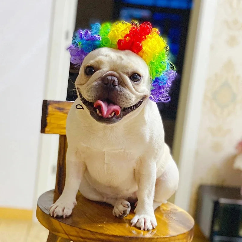 Funny Pet Wigs for Cosplay | Dog &Cat Cross-Dressing Hats | Perfect for Halloween &amp; Christmas - Smooth Wigs