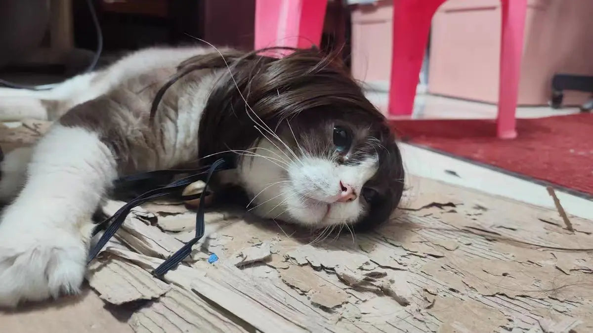 Pet Wig for Dogs & Cats | Curly Straight Hair Options | DIY Trim Halloween Costume Accessories - Smooth Wigs