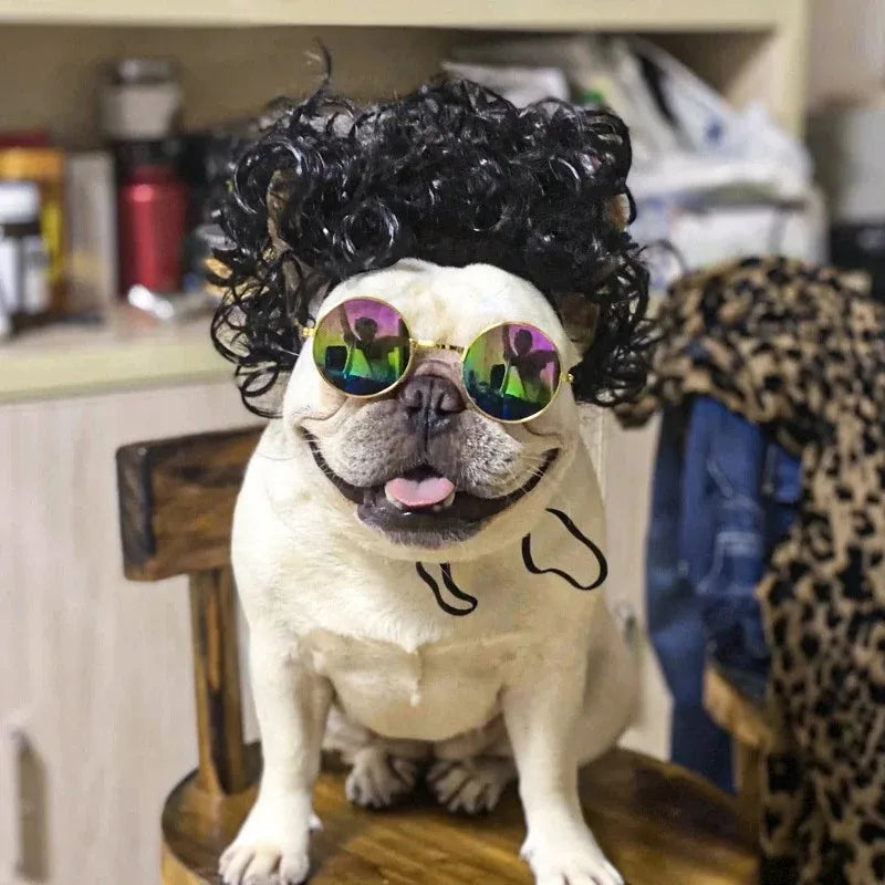 Funny Pet Wigs for Cosplay | Dog &Cat Cross-Dressing Hats | Perfect for Halloween &amp; Christmas - Smooth Wigs