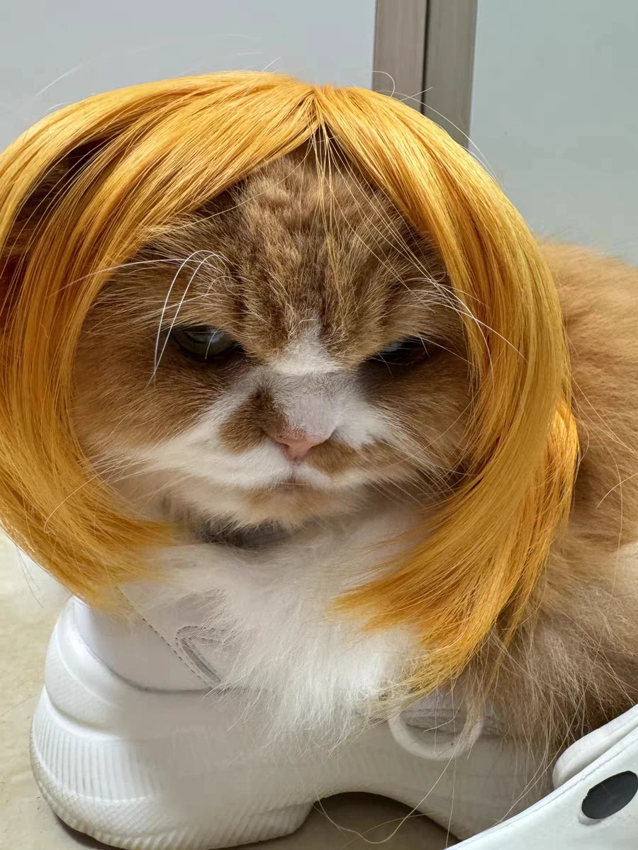 Pet Wig for Dogs & Cats | Curly Straight Hair Options | DIY Trim Halloween Costume Accessories - Smooth Wigs