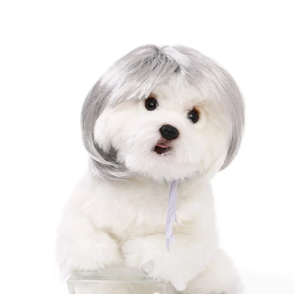 Pet Wig for Dogs & Cats | Curly Straight Hair Options | DIY Trim Halloween Costume Accessories - Smooth Wigs